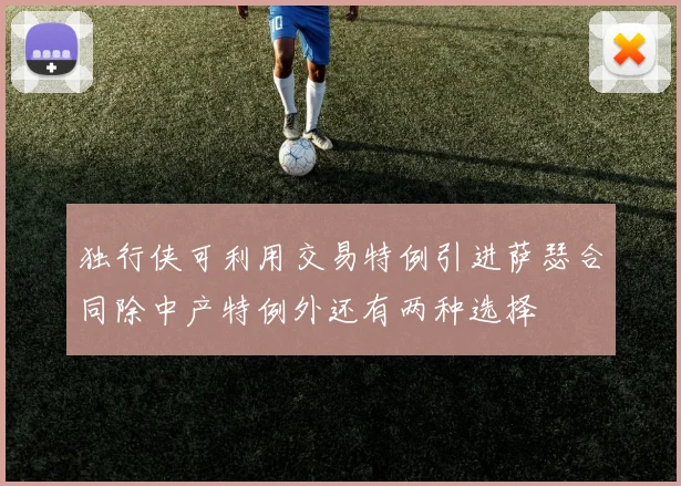 独行侠可利用交易特例引进萨瑟合同除中产特例外还有两种选择